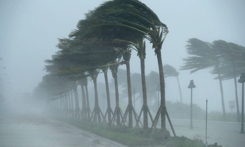 وزش باد - رگبار باران - طوفان