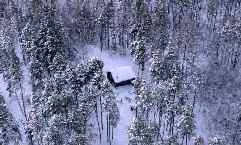 سردترین جنگل جهان