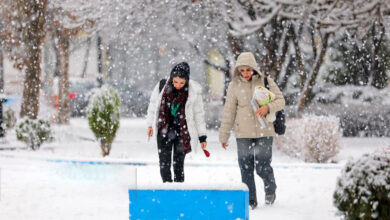 برف-برف زمستان
