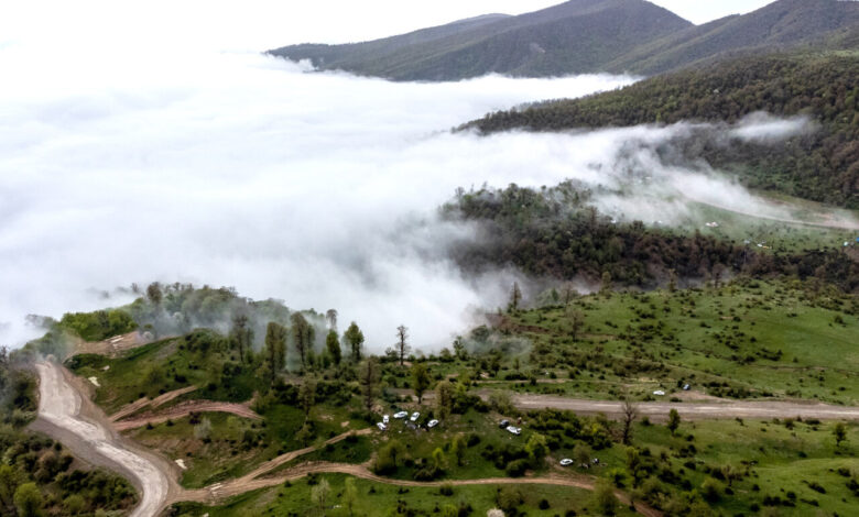 جنگل- تنکابن