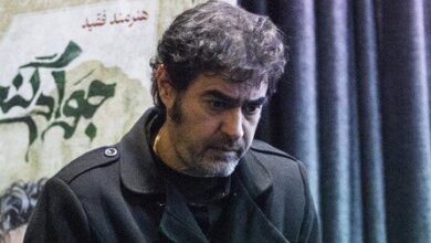 شهاب حسینی