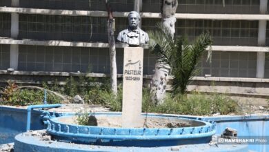 انستیتو پاستور