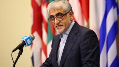 امیر سعید ایروانی