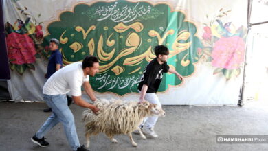 بازار دام زنده ی عید قربان