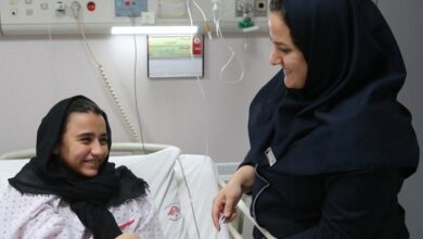 نظام ارجاع