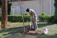 درختکاری - رهبر شهید