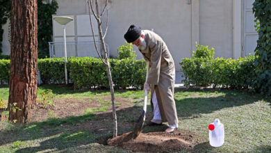درختکاری - رهبر شهید