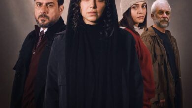 شکوفه های گیلاس