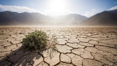 راهکار نهایی برای خشکسالی؛