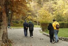 بازنشستگی بازنشستگان سالمند سالمندی
